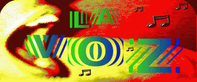 20100517105506-voz.gif
